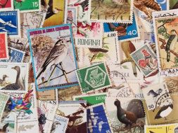Набор различных марок, Птицы (50 шт.)
